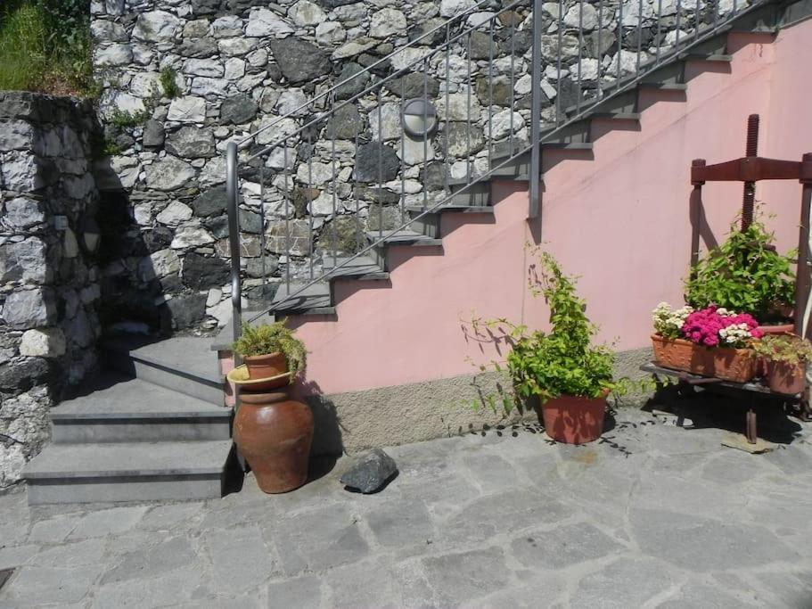 Azienda Agricola Zulin Casa Elena * Levanto
