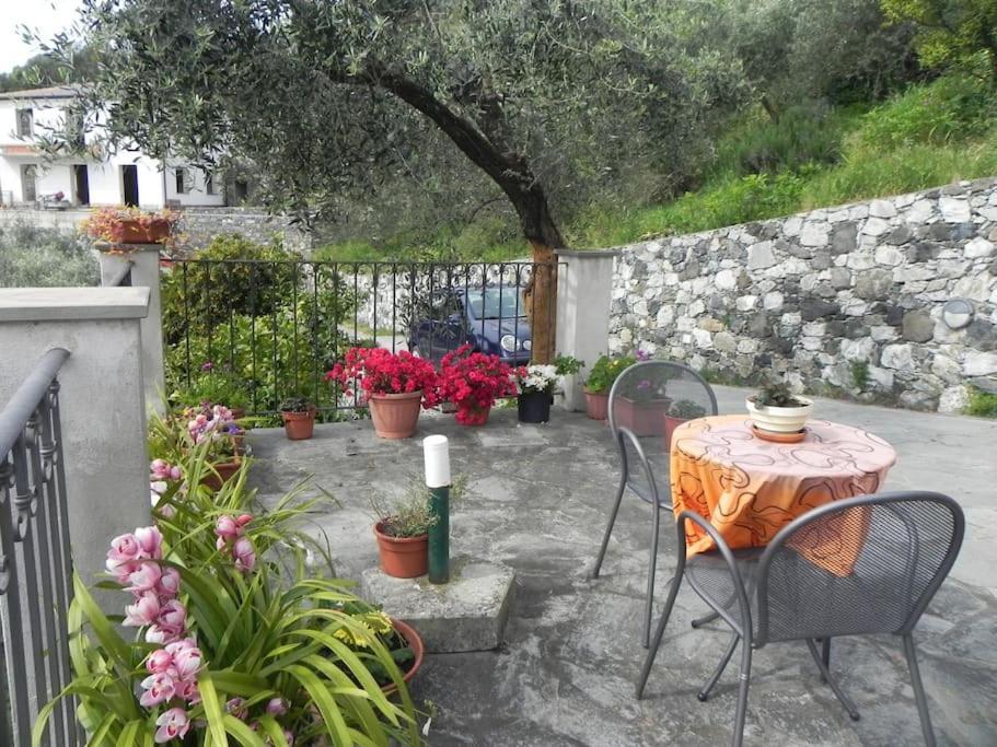 Azienda Agricola Zulin Casa Elena Levanto