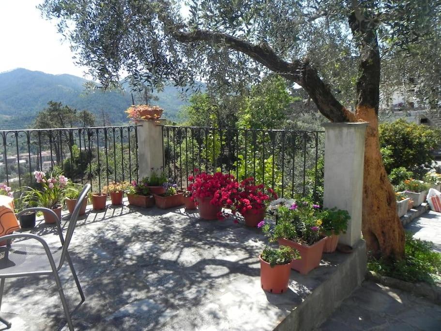 Holiday home Azienda Agricola Zulin Casa Elena Levanto
