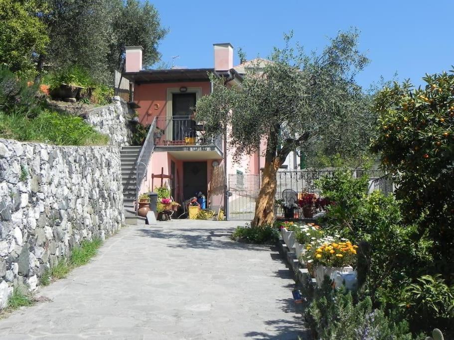 Azienda Agricola Zulin Casa Elena Holiday home