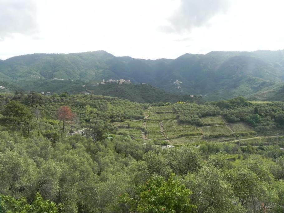 Azienda Agricola Zulin Casa Elena Levanto