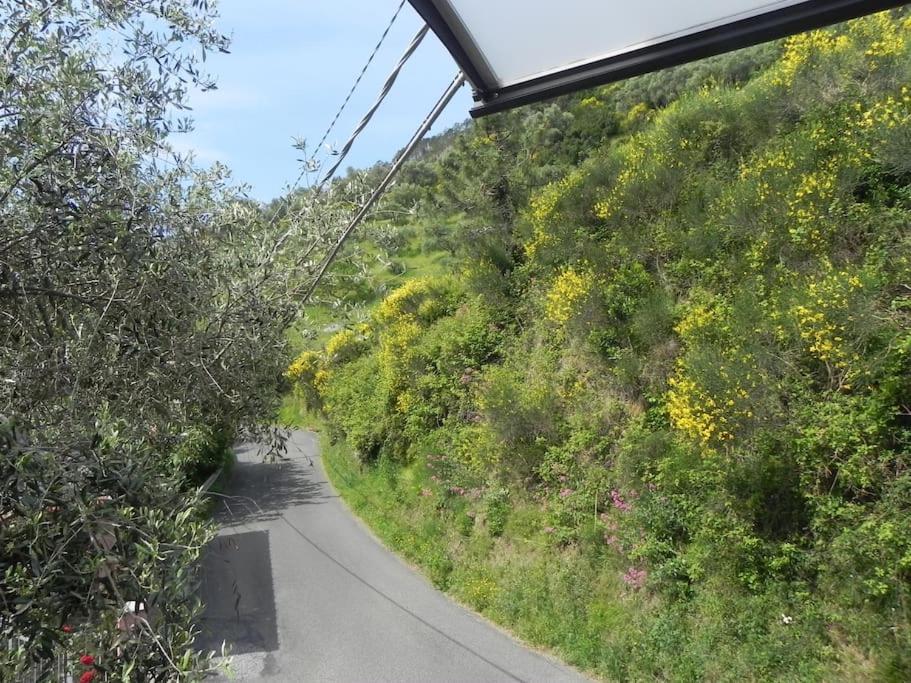 Casa vacanze Azienda Agricola Zulin Casa Elena