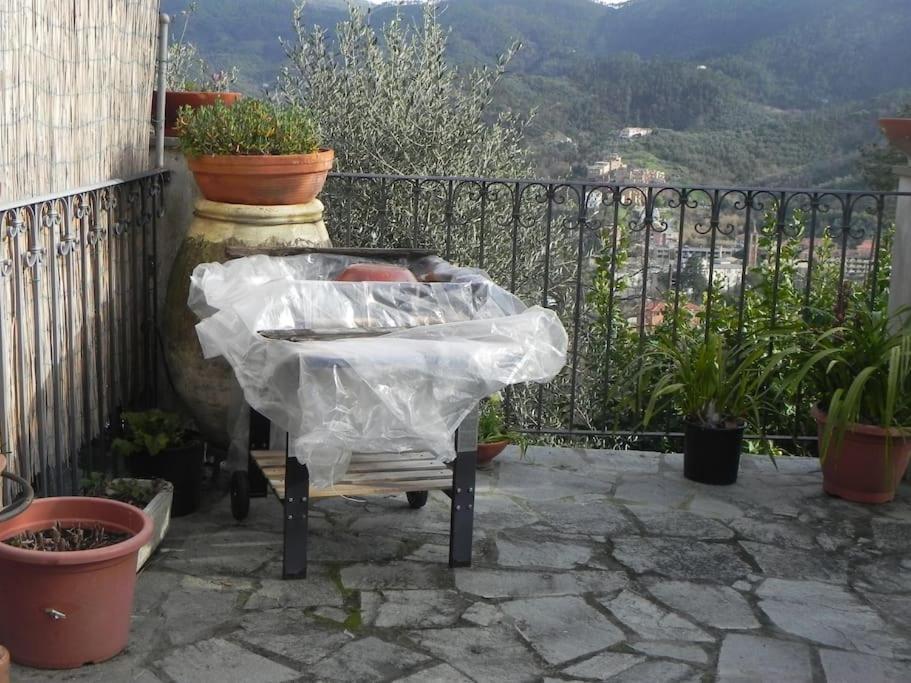 Azienda Agricola Zulin Casa Elena * Levanto
