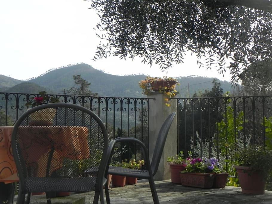 Holiday home Azienda Agricola Zulin Casa Elena Levanto