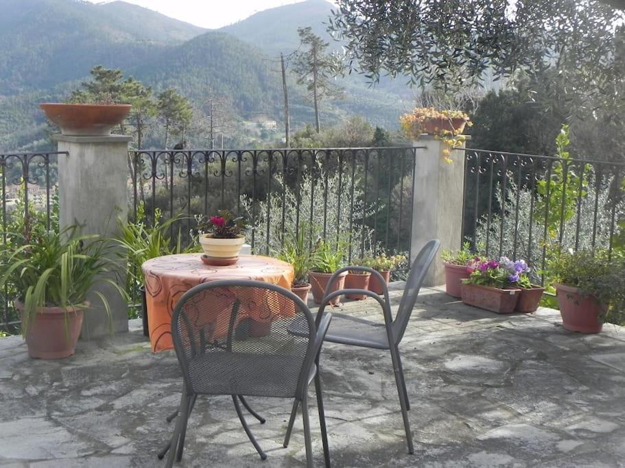 Azienda Agricola Zulin Casa Elena