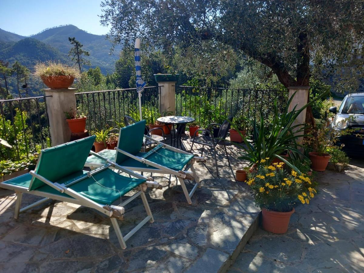 Azienda Agricola Zulin Casa Elena Levanto