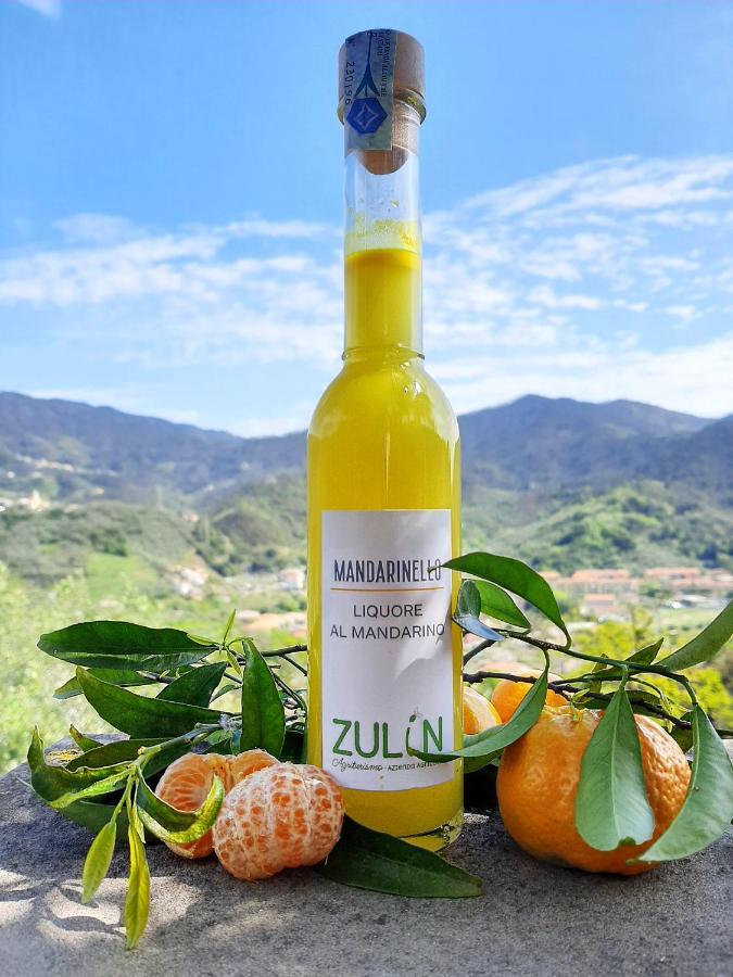 Azienda Agricola Zulin Casa Elena Holiday home Levanto
