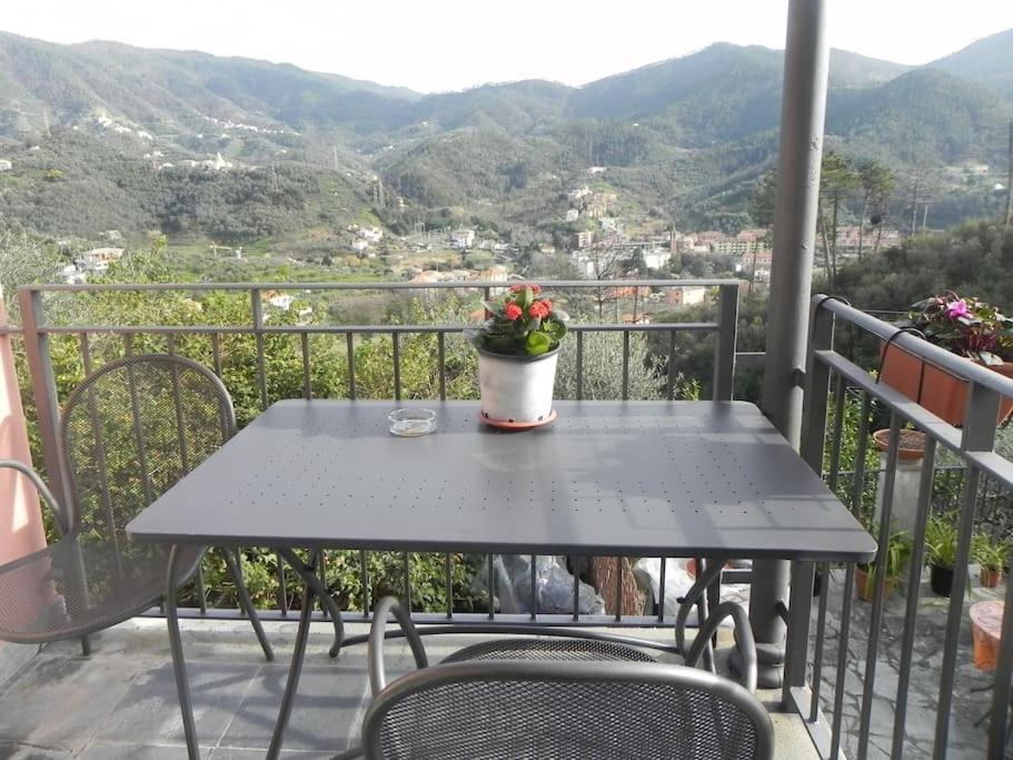Azienda Agricola Zulin Casa Elena Levanto