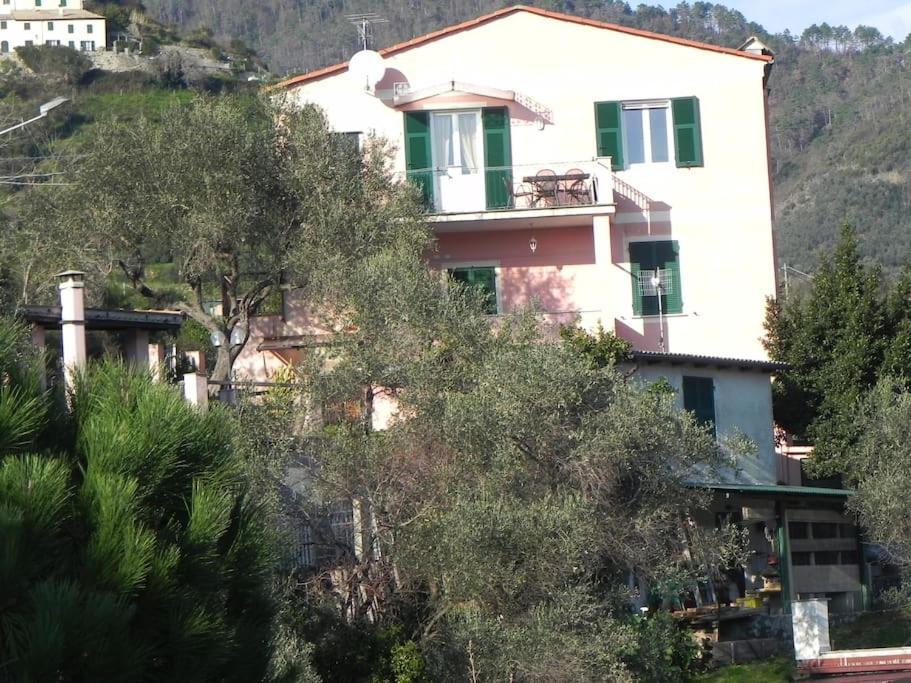 Azienda Agricola Zulin Casa Elena Holiday home Levanto